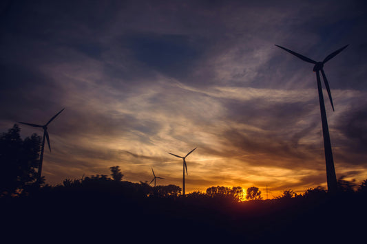 Wind Energy Market Outlook: Why Maintenance Tools Are a Growth Opportunity