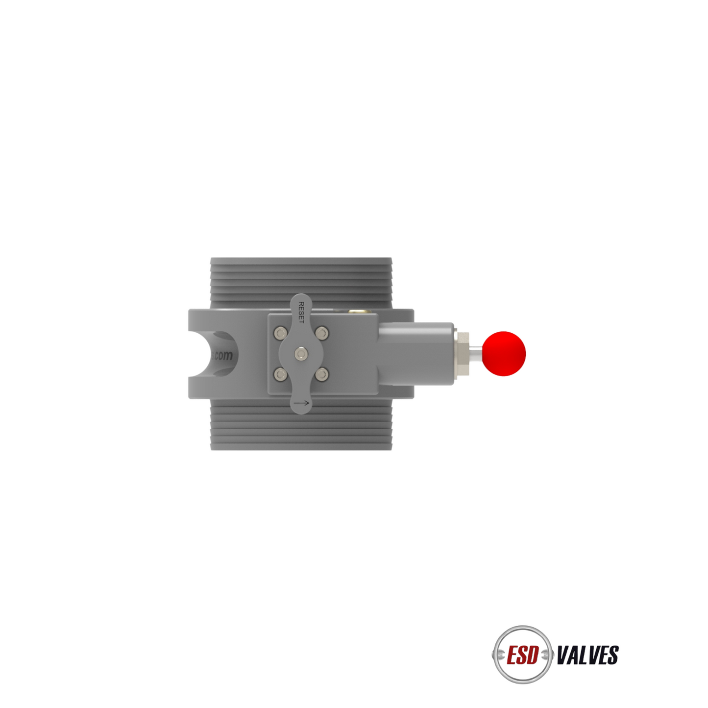 Pneumatic Valve